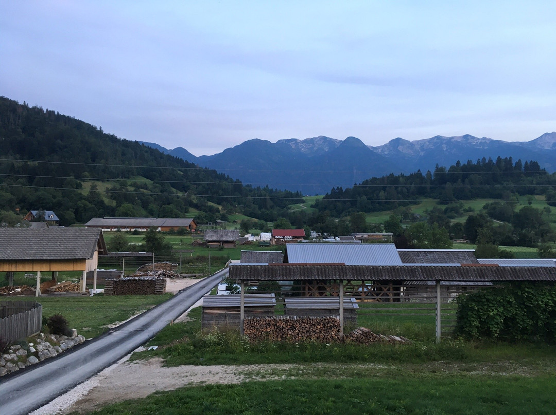 Bohinjska Cesnjica旅游攻略图片