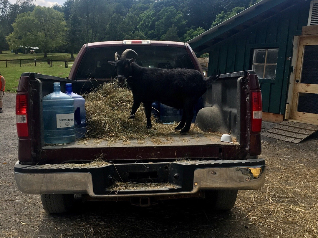 Catskill Animal Sanctuary-Saugerties必去景点