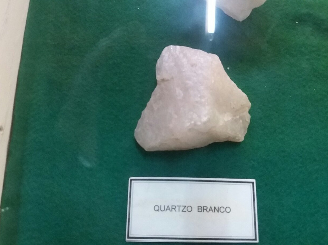 Natural Science Museum-瓜鲁柳斯必去景点