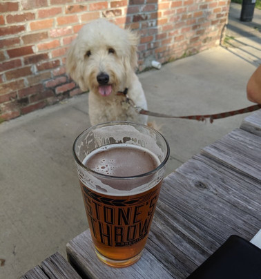 Stone's Throw MacPark Brewpub & Biergarten-小石城必去景点