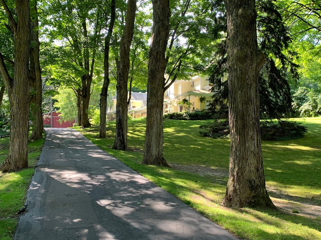 The Park Street Inn主图