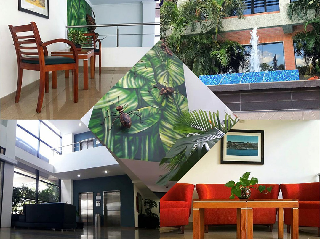 Hotel Plaza Real主图