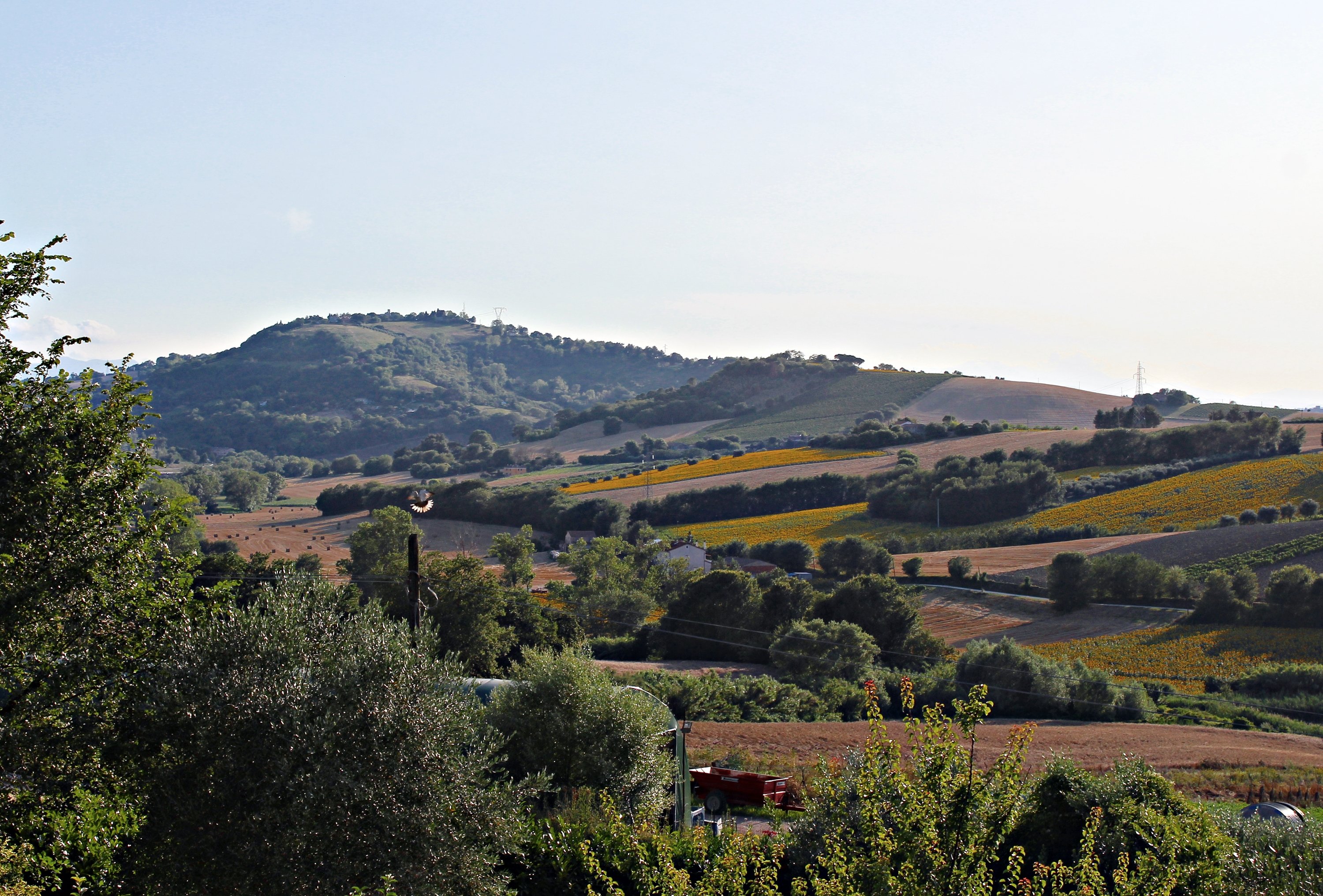 A3Passi Agriturismo tra gli Ulivi-酒店景观