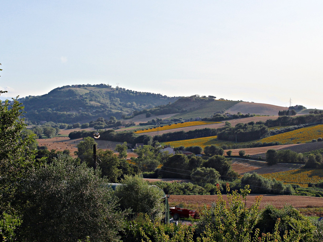 A3Passi Agriturismo tra gli Ulivi主图
