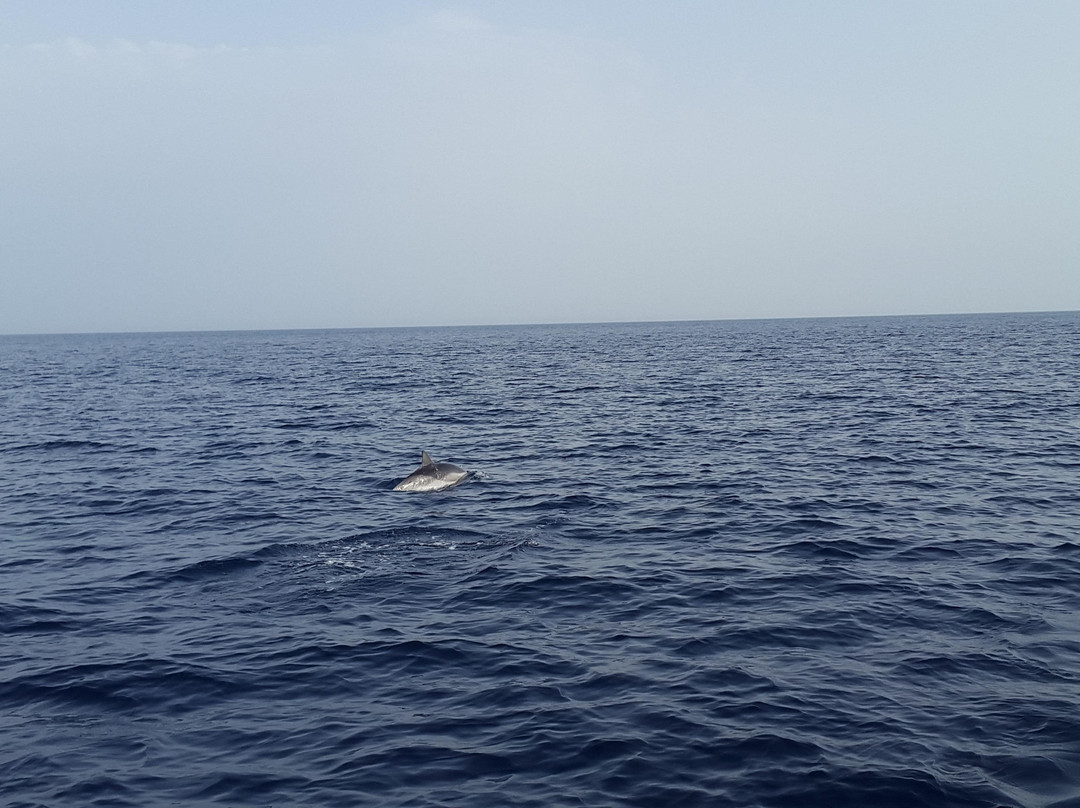 La Rosa Dei Venti Escursioni-陶尔米纳必去景点