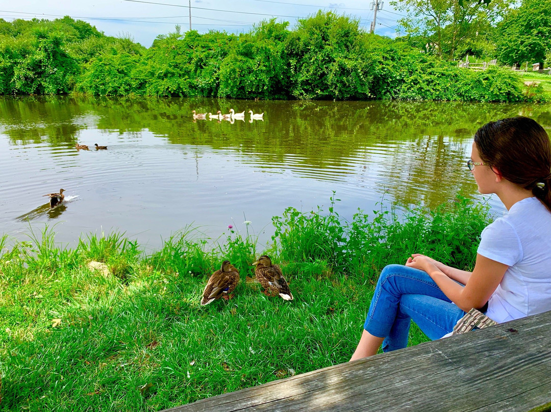Russell Orchards-Ipswich必去景点