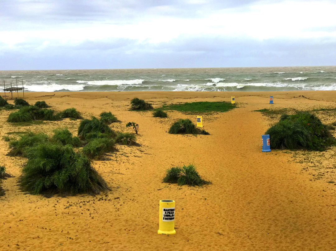 Regencia Beach景点图片