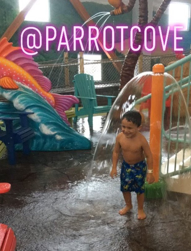 Parrot Cove Indoor Waterpark景点图片