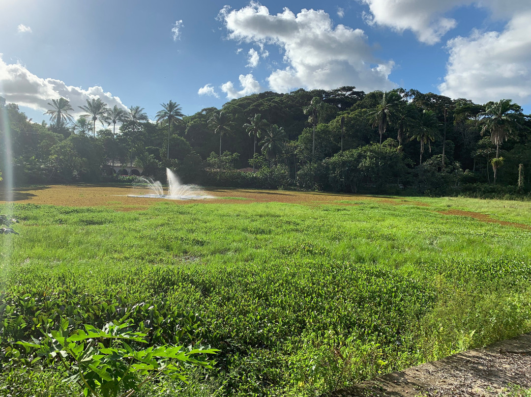 Parque Estadual de Dois Irmãos景点图片