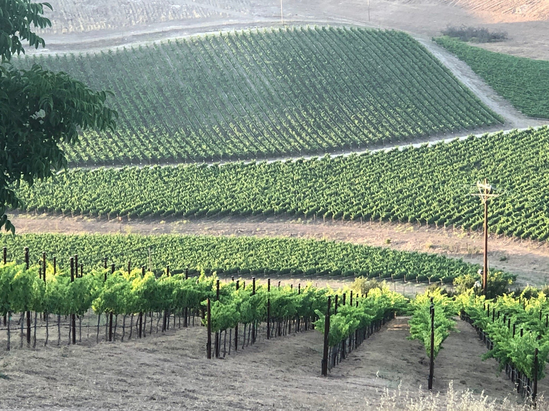 McPrice Myers Wines景点图片