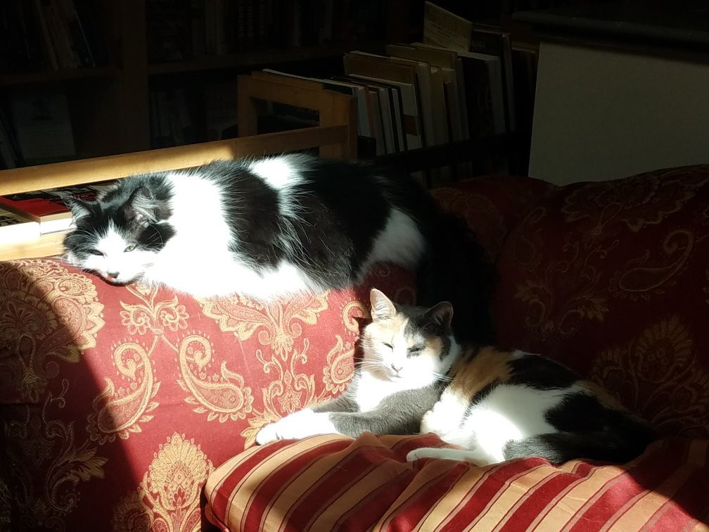 The Book Barn-Niantic必去景点