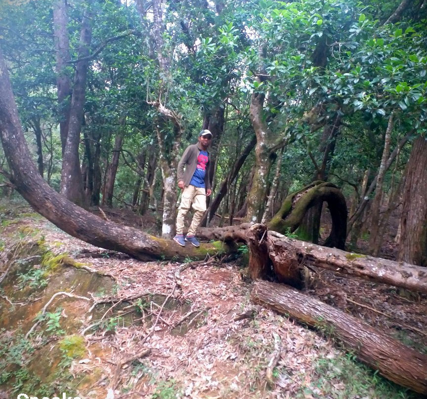 Hiking Bambarakanda to Horton Plains景点图片