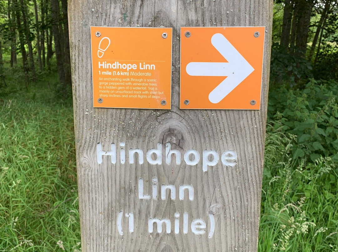 Hindhope Linn景点图片
