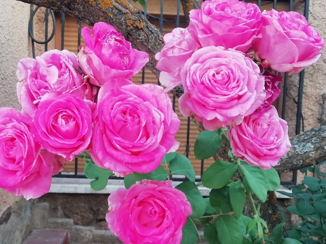 Hotel Rural La Villa Don Quijote主图