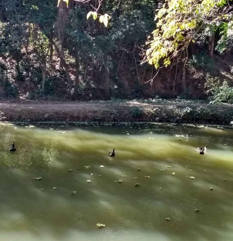 Parque dos Lagos-Valinhos必去景点