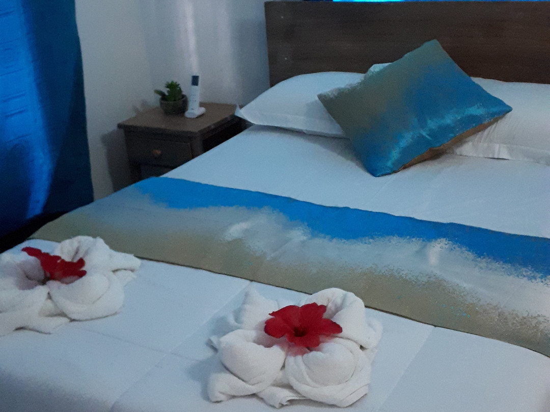 Rodrigues Villa Koki Boner主图