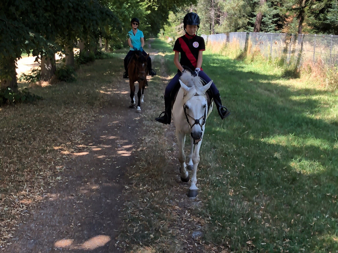 Horse Holidays France景点图片