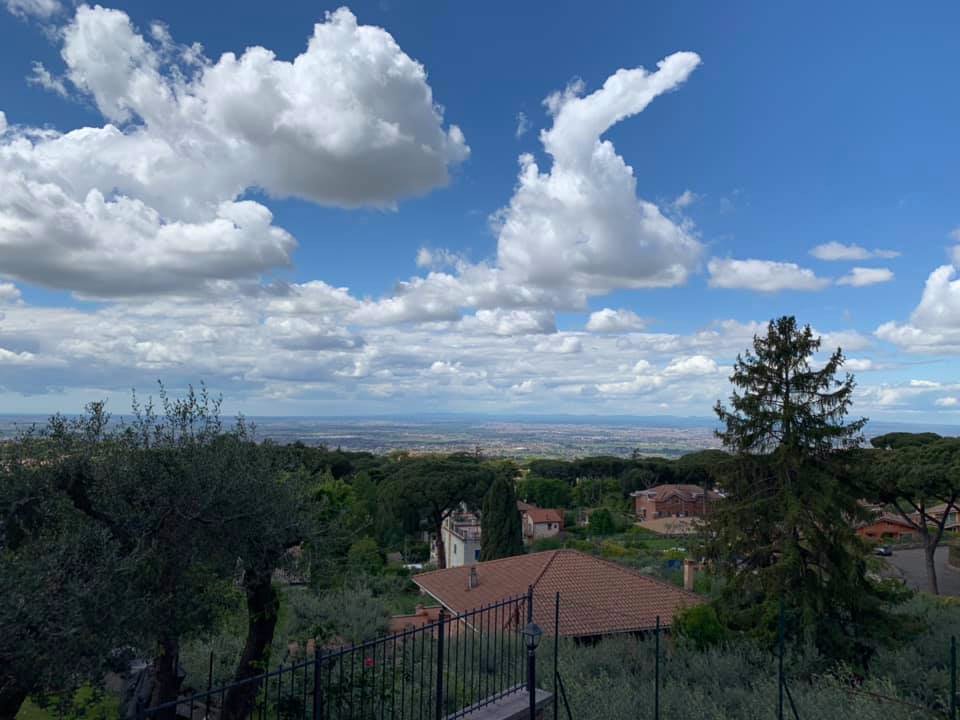 Al Pino B&B-酒店景观