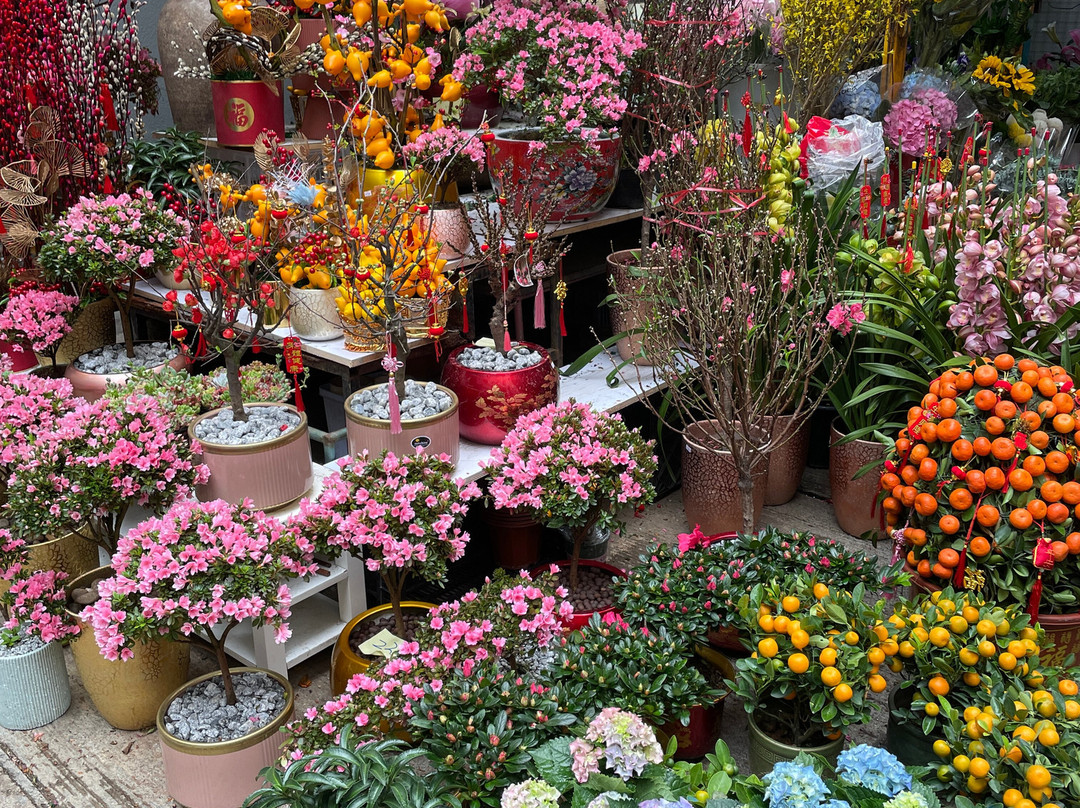 机利臣街市场-香港必去景点