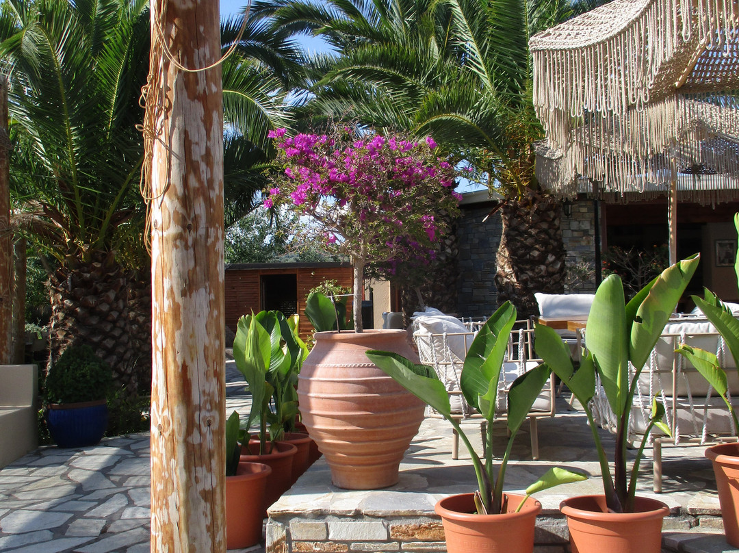 Kelyfos Hotel & Bungalows主图