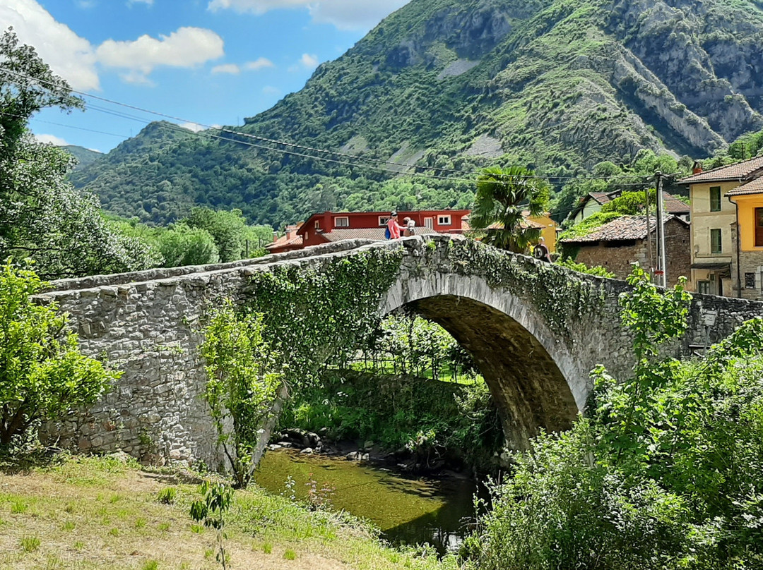 TeverAstur Senda del Oso景点图片