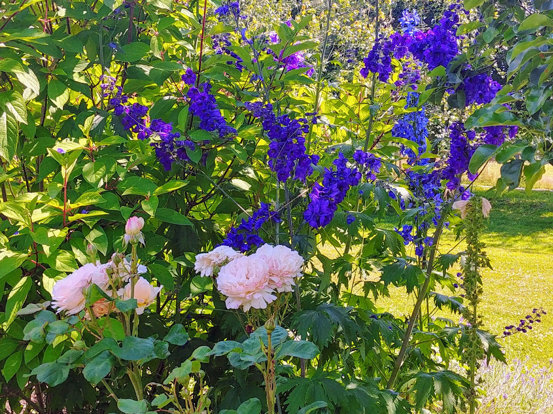 Tuscan Farm Gardens景点图片