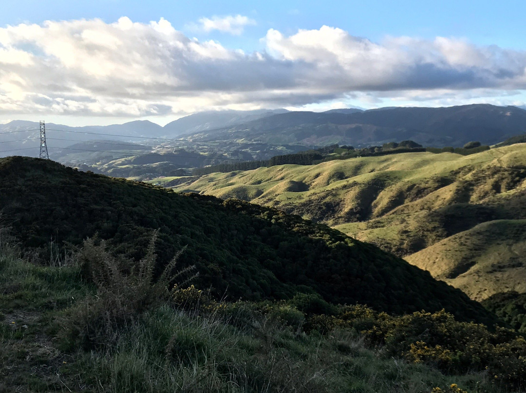 Belmont Regional Park-惠灵顿必去景点
