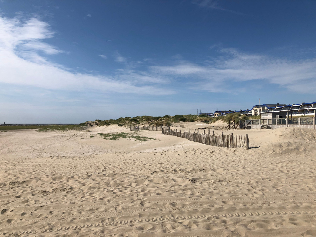 Kennemerduinen an der Nordsee景点图片