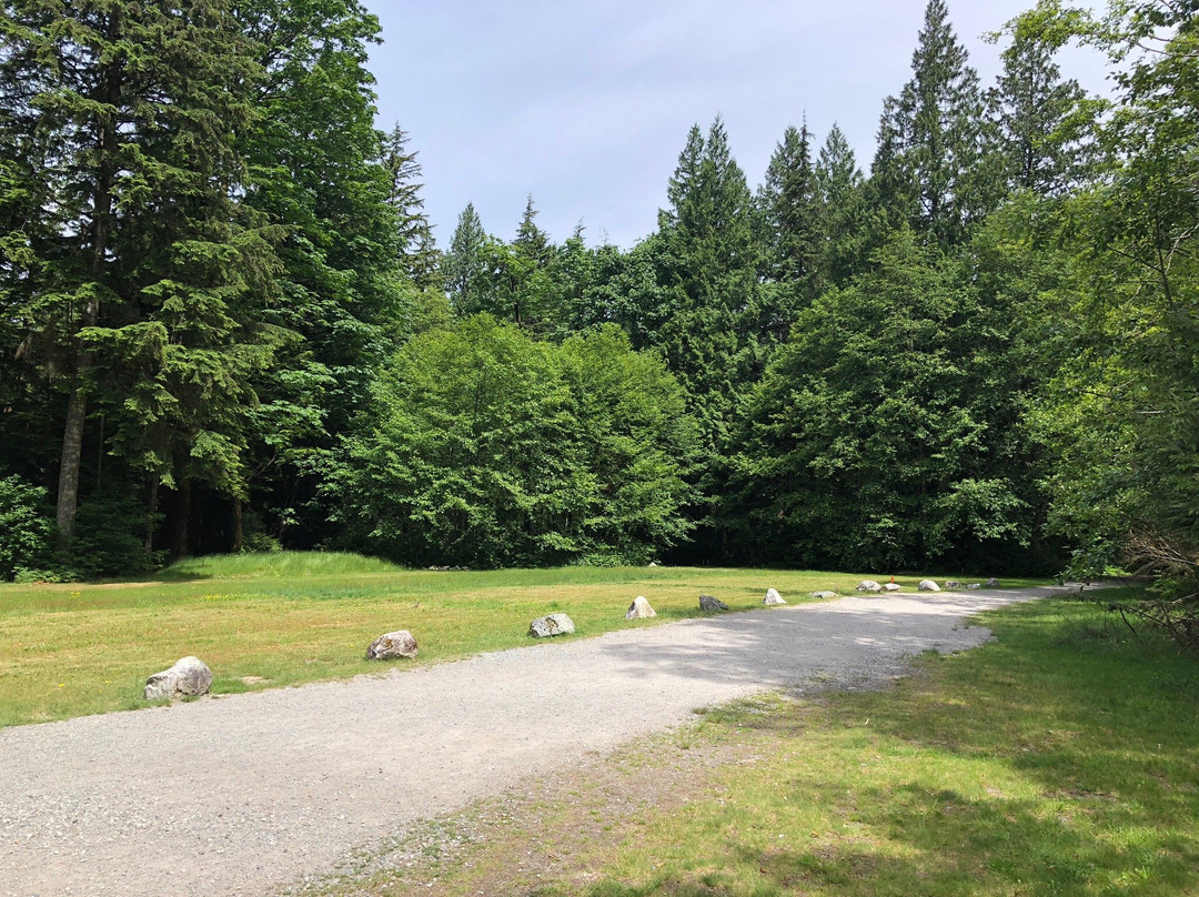 Shannon Falls Provincial Park景点图片