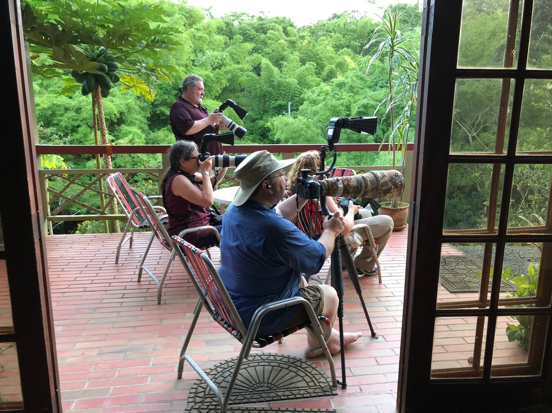 Cuffie River Nature Retreat主图