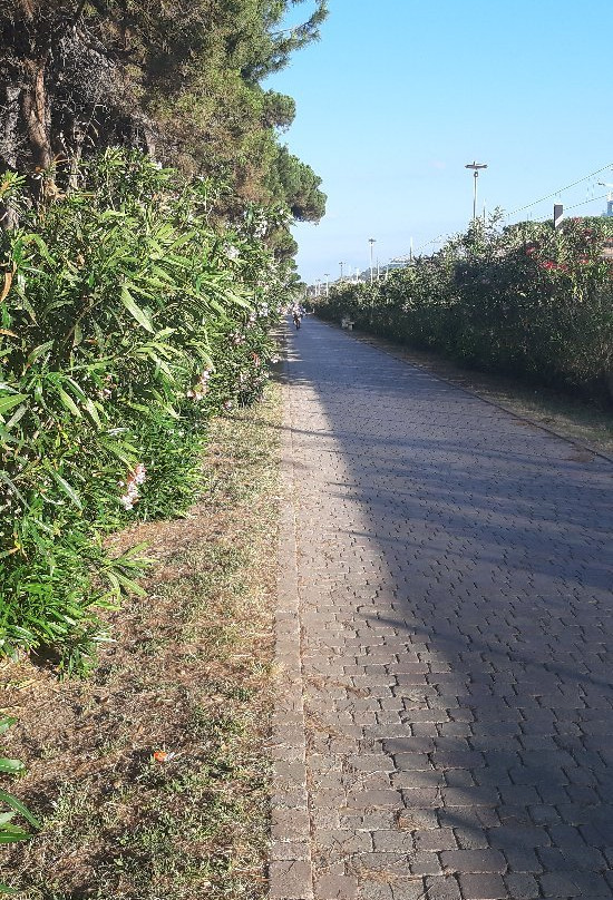 Pista Ciclabile-Pineto必去景点