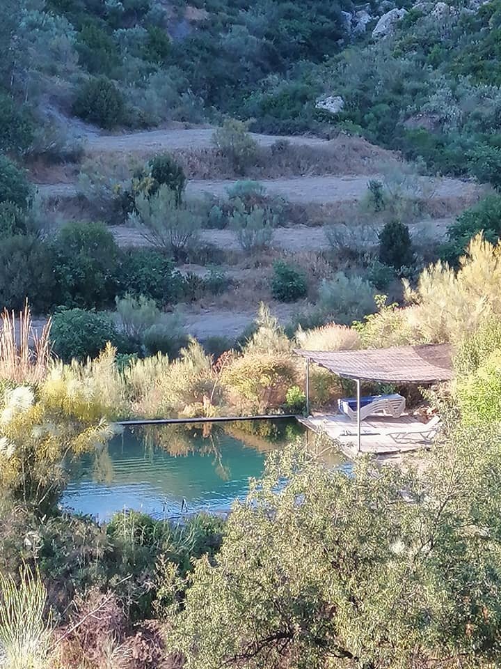 Cortijo El Nacimiento Del Rincon-泳池