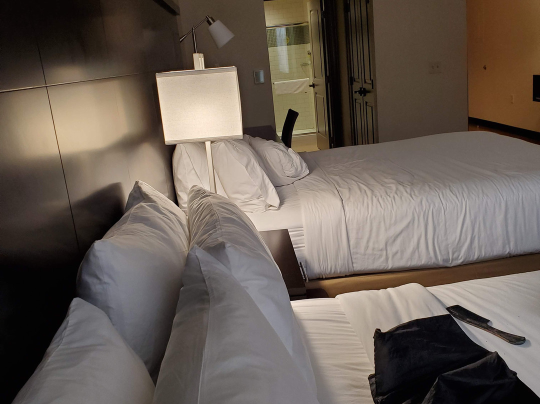 Staybridge Suites Baltimore - Inner Harbor by IHG主图