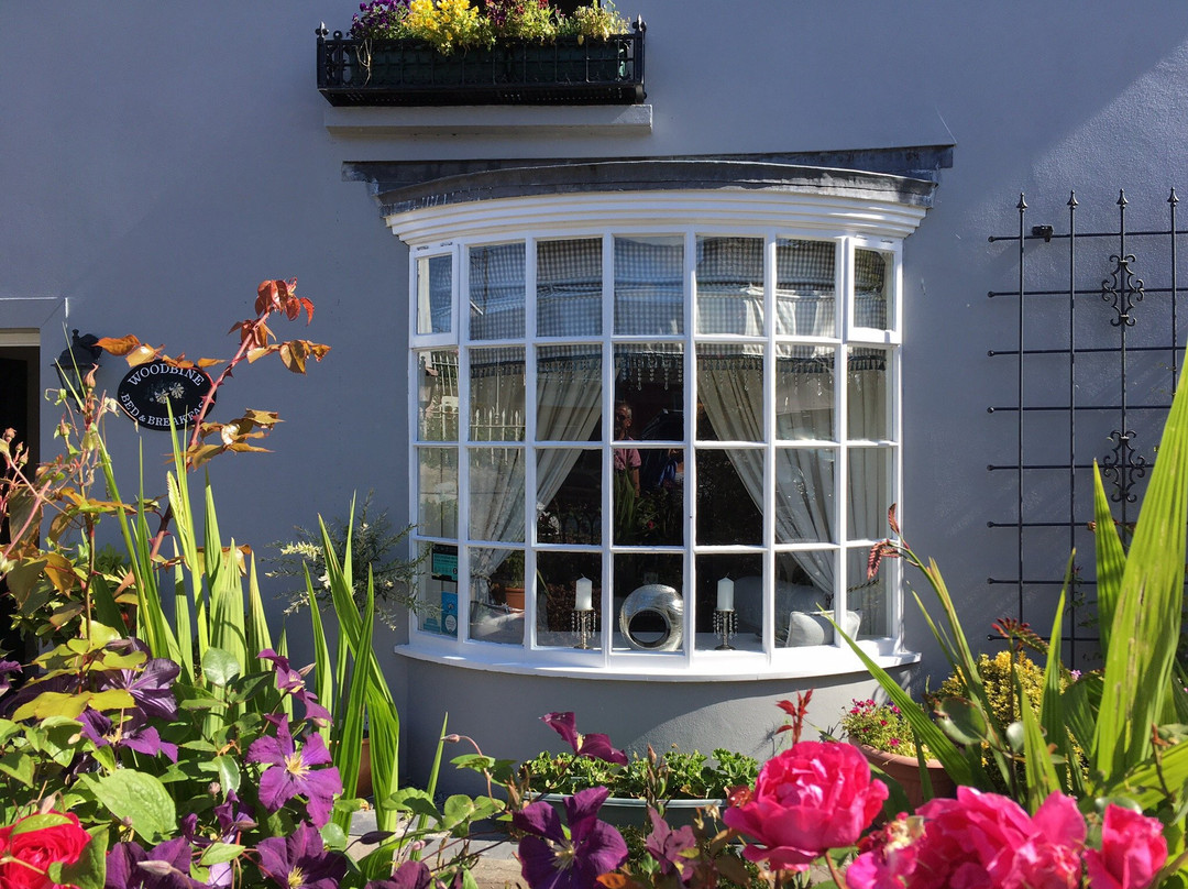 Woodbine Bed & Breakfast主图