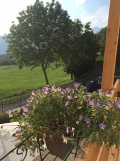 Agriturismo Deviscio主图