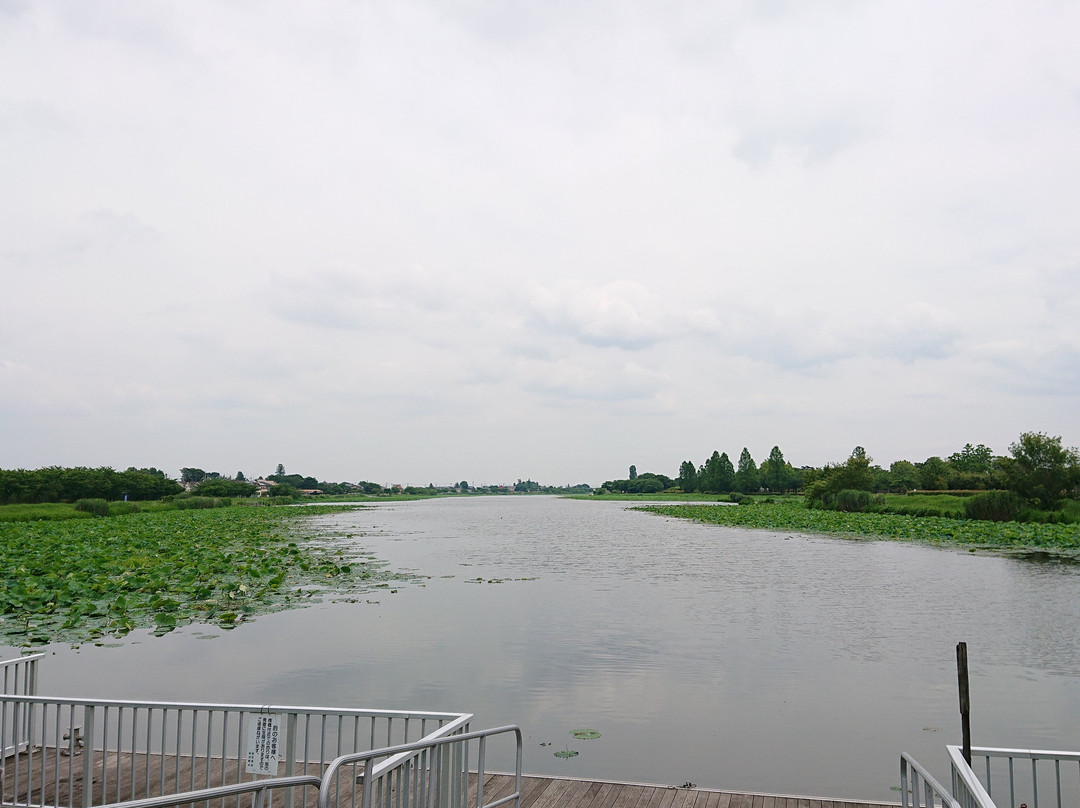 Tsutsujigaoka Park景点图片