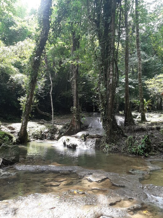 Sa Nang Manora Forest Park景点图片