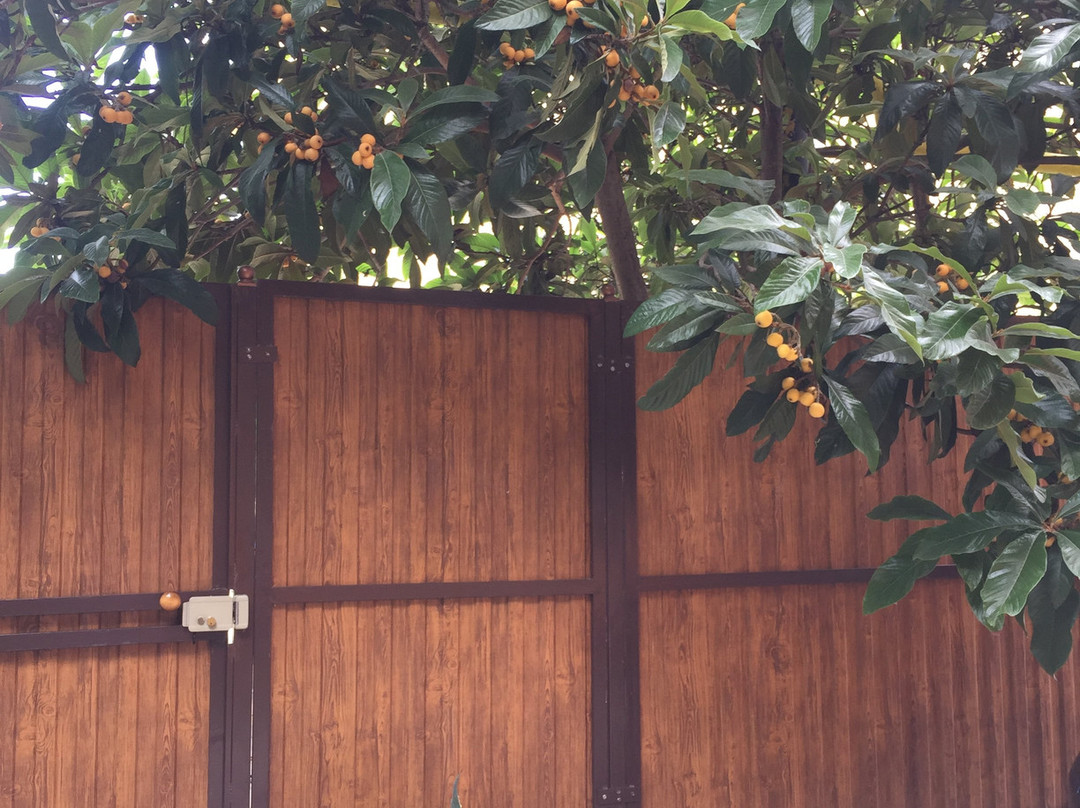 Happy Elephant主图