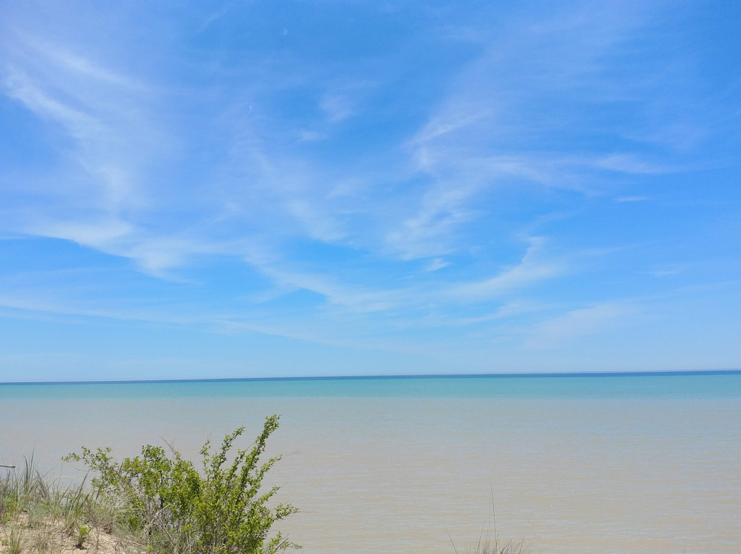 Point Beach State Forest景点图片