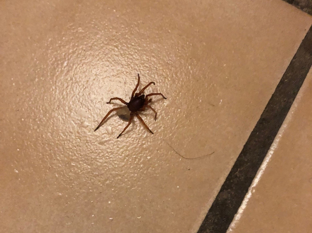 Hotel Pension Winzerhaus主图