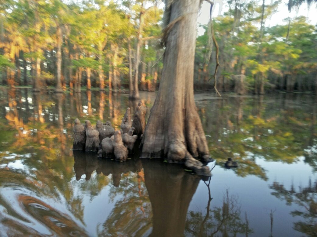Caddo Outback-Karnack必去景点