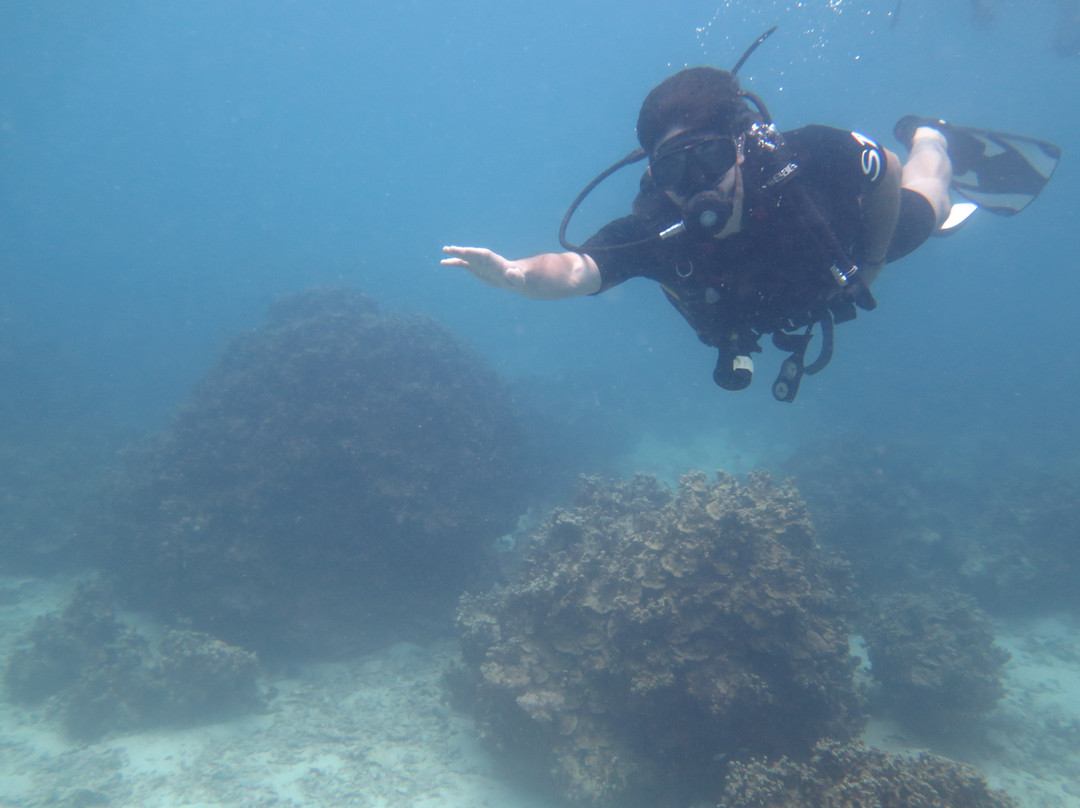 Scuba Birds International Dive Centre-波普特必去景点