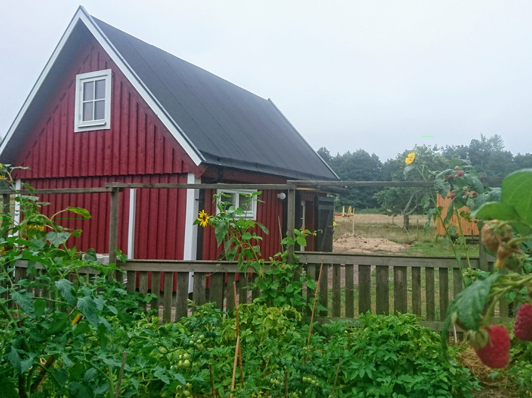 Källagården