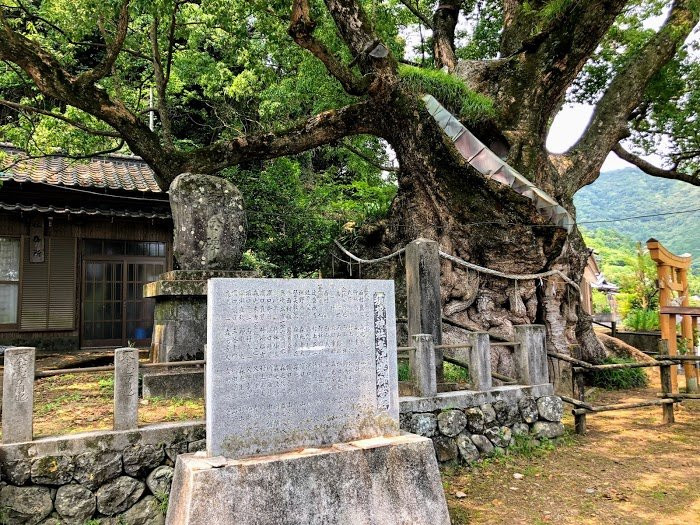 Suga Shrine景点图片