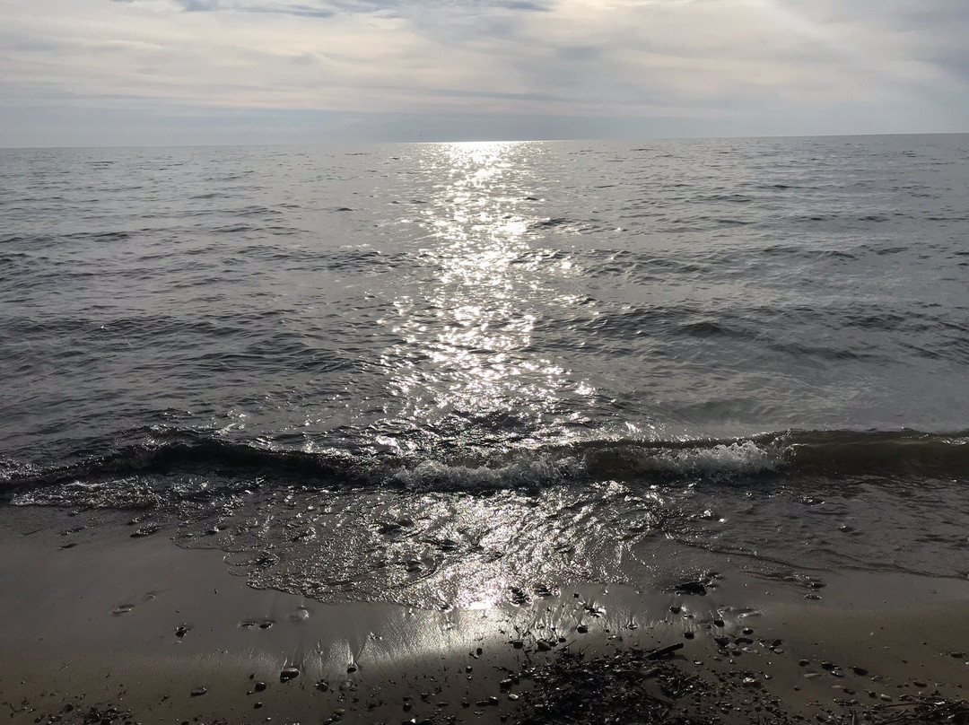 Beachcomber Motel & Suites主图