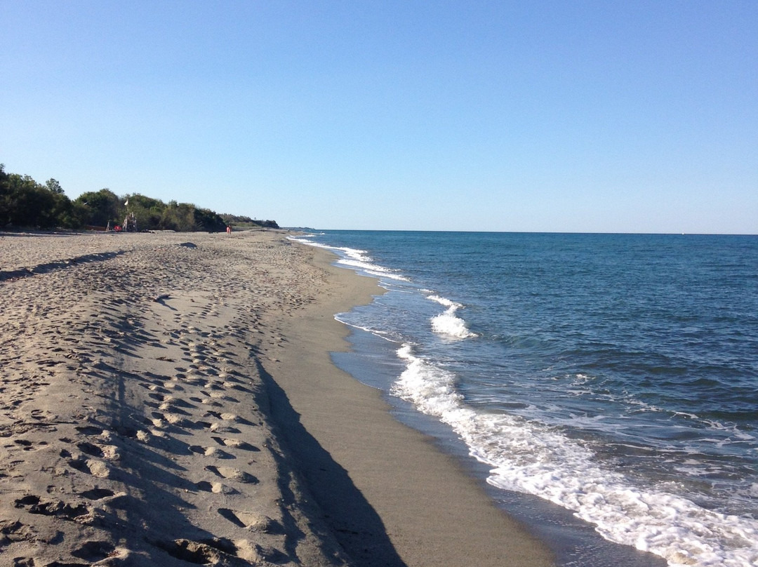 Plage de Bravone-Linguizzetta必去景点