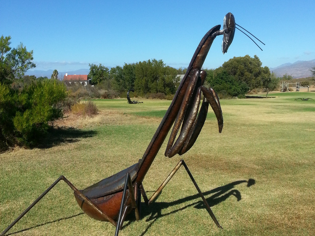 Karoo Desert National Botanical Garden-伍斯特必去景点