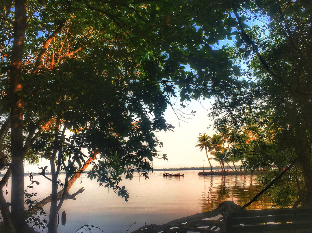 Kumarakom Bird Sanctuary景点图片