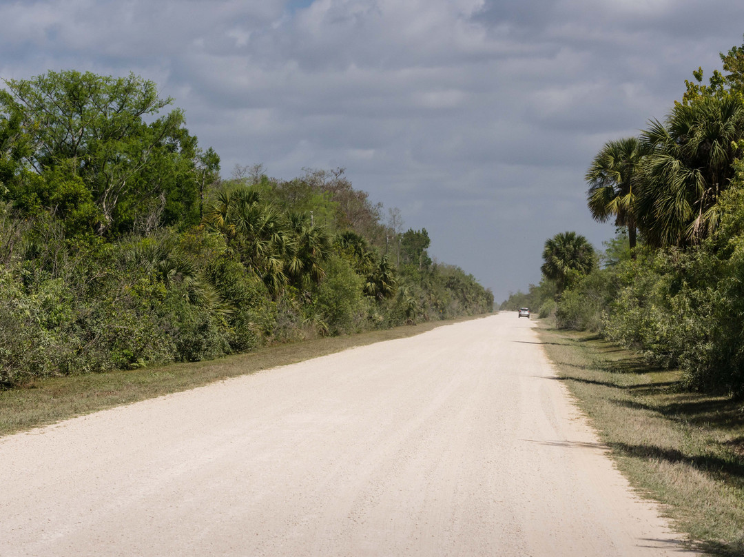 Turner River Road-奥乔皮必去景点