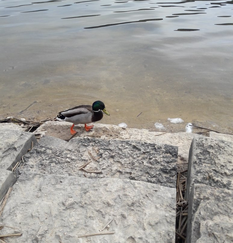 Randonnées Autour du Lac des Rousses景点图片